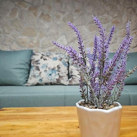 Dalmatia Rustica Comfortable One Bedroom+Fireplace Zadar Luaran gambar