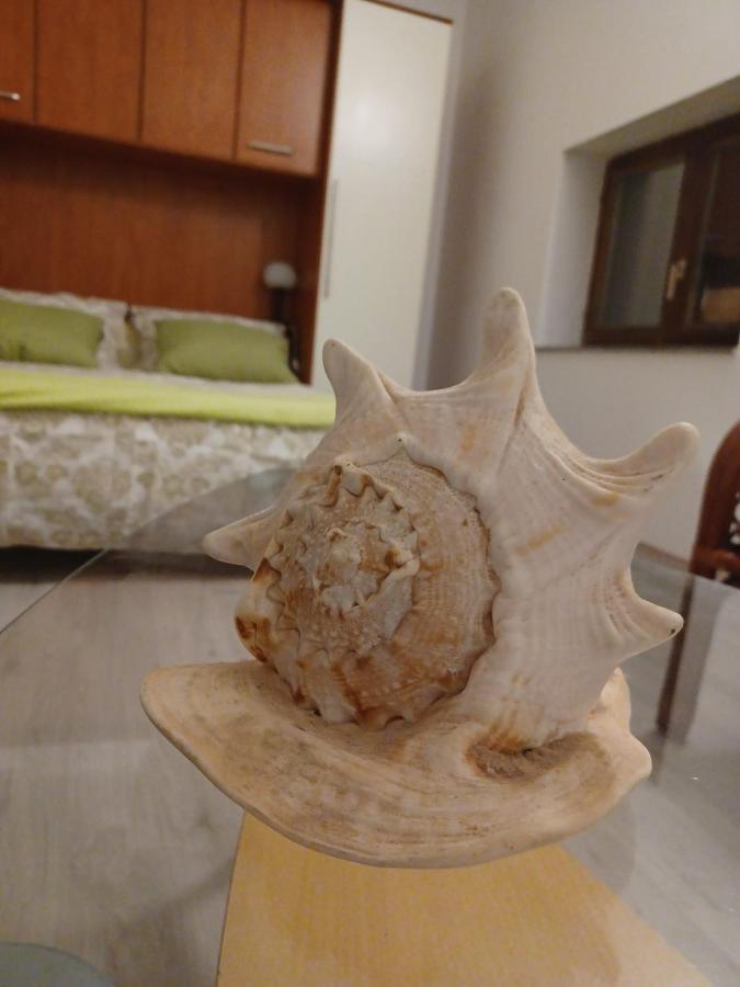 Dalmatia Rustica Comfortable One Bedroom+Fireplace Zadar Luaran gambar